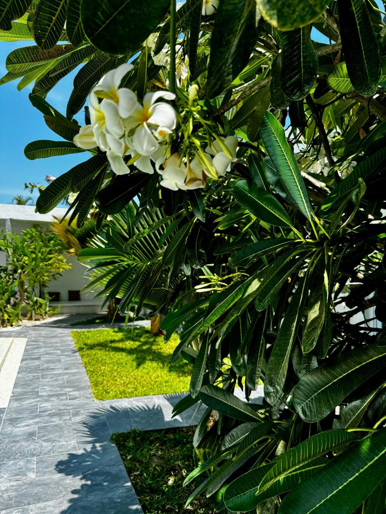 La Base Hotel Kiwengwa (Zanzibar) ภายนอก รูปภาพ